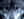Flesh_And_Rain