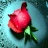 fenia_1