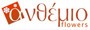 Anthemion flowers logo